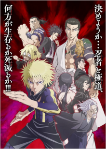 Cover Ninja Vs. Gokudo AniWorld Ninja Vs. Gokudo, Cover, HD, Anime Stream, ganze Folge