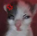 User Kleinekatze1213 Kleinekatze1213, Profilbild, Foto, Avatar
