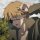 User chxso, Profilbild, Avatar
