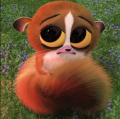 Profilbild Nya-nami, Avatar