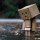User Mr_Nobody_, Profilbild, Avatar
