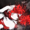 Noriii Avatar, Noriii Profilbild