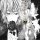 User caesciel, Profilbild, Avatar