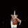 User GoldOrSilver, Profilbild, Avatar
