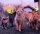 User LsrC6pb1MgT6F0AldQF1-archived-DzO8LG5SAXEpk6XrFZ05, Profilbild, Avatar
