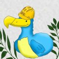 Dodo_bob Avatar, Dodo_bob Profilbild