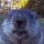 User Cloudyman04, Profilbild, Avatar