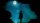 User Tqmoe, Profilbild, Avatar