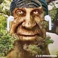 Profilbild SWH_Max, Avatar